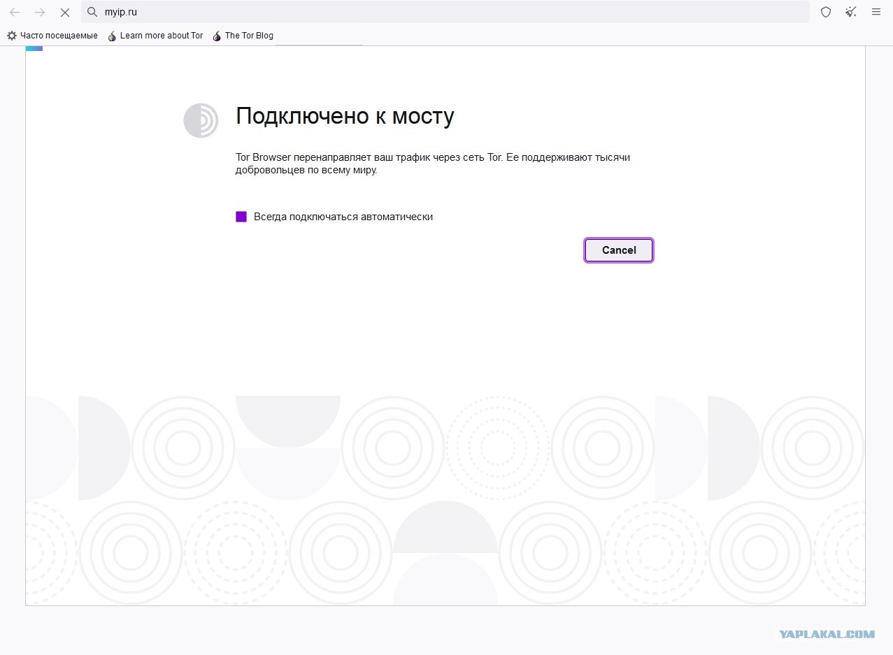 Кракен даркнет маркет ссылка на сайт тор
