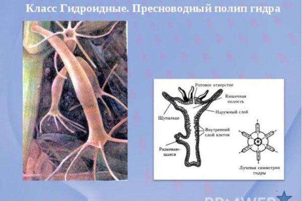 Кракен маркетплейс реклама текст